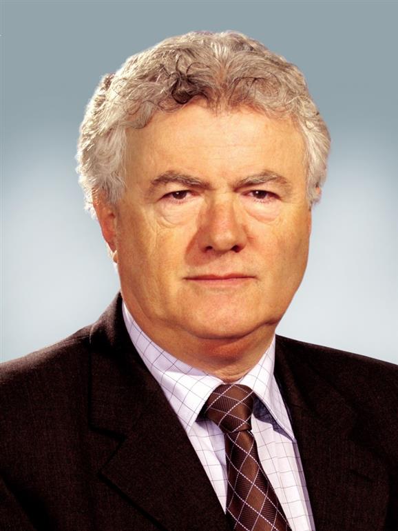 Prof. Dr. Novák Zoltán