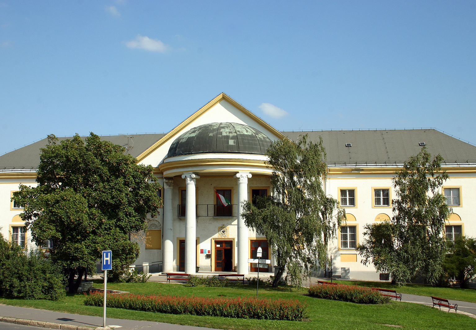 Diabtesz Vilgnap Vrpalotn