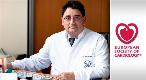 Prof. Dr. Merkely Béla