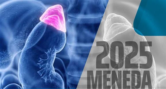 Mellkvese s Neuroendokrin Daganat Tovbbkpz Tanfolyam (MENEDA) (Budapest, 2025.09.19-20.)